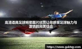 【回放】2025F1阿布扎比大奖赛 正赛 圈速信息