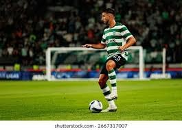 00：50“格斗女王”张伟丽说男友难找，被网友自荐私信“轰炸”吓坏：各种发视频和照片的